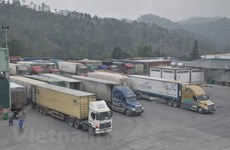 Examinan modos de aliviar congestión en puerta fronteriza entre Vietnam y China