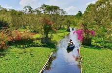 Turismo de Vietnam por fortalecer calidad de recursos humanos