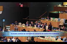 Elogian logros de Vietnam en garantía de derechos humanos 