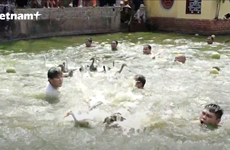 Fiesta de caza de patos anima ambiente en centenaria aldea en Hanoi