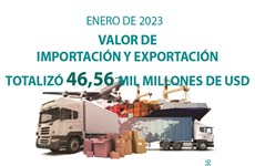 Valor de importación y exportación totalizó 46,56 mil millones de USD