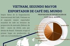 Vietnam, segundo mayor exportador de café del mundo