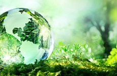 Hanoi aclarará procedimientos administrativos en sector del medio ambiente  