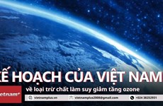 El ambicioso plan de Vietnam para eliminar las sustancias agotadoras de capa de ozono