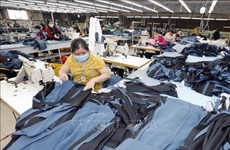Exportaciones verdes, nuevo camino para crecimiento sostenible del sector textil 