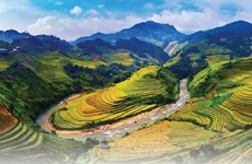 Turistas internacionales en Vietnam en 11 meses aumentan 3,8 veces 