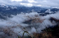 Lao Ty Phung, destino ideal para “cazar nubes” de Lai Chau
