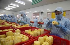 Varios países aumentan sus compras de frutas y verduras procesadas de Vietnam