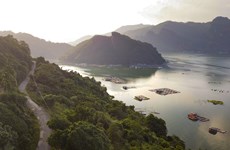 La belleza majestuosa y poética del embalse Hoa Binh
