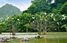 Vietnam trabaja para prevenir la degradación de la biodiversidad