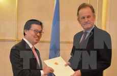 Continúa Vietnam participando activamente en actividades de ONU