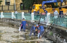 Hanoi facilita inversiones de empresas austríacas en tratamiento de residuos