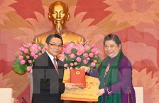 Recibe vicepresidenta parlamentaria a delegación de amistad laosiana