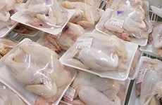 Vietnam exportará pechugas de pollo por primera vez al extranjero