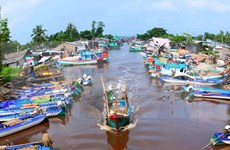 Impulsan desarrollo socioeconómico en extremo sur de Vietnam