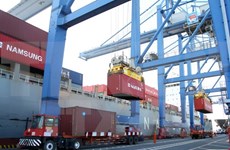 Puerto marítimo de Vietnam recibe el millonésimo contenedor