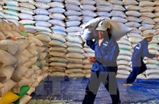 Gobierno vietnamita ofrecerá arroz a provincias centrales afectadas por inundaciones