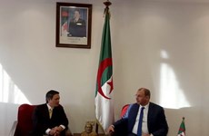 Promueven cooperación económica entre Vietnam y Argelia