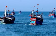 Localidad vietnamita planea desarrollar economía marítima y energías renovables