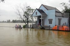 Trece muertos por inundaciones y fuertes lluvias en región central de Vietnam