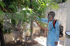 Provincia survietnamita de Dong Nai detecta primer caso del Zika
