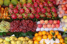 En alza exportación de frutas de Vietnam