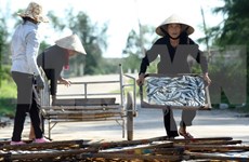 Vietnam enfrascado en solución de consecuencias de incidente ambiental