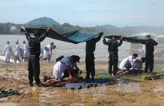 JICA asistirá a prevención de desastres y agricultura limpia en Vietnam