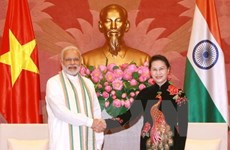 Impulsan Vietnam e India cooperación en tecnología informática