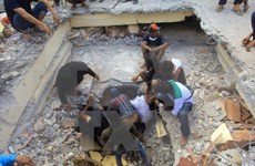 No reporta ninguna víctima vietnamita en sismo en Indonesia 