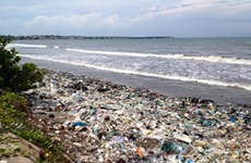 Binh Thuan se esfuerza por resolver problema de residuos en zonas costeras