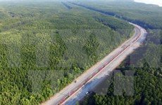 Ciudad Ho Chi Minh invierte millones de dólares para protección forestal