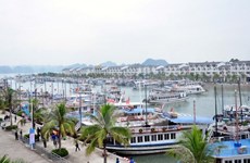 Quang Ninh recibe a más de ocho millones de turistas