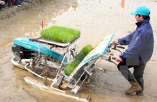 JICA asiste a desarrollo rural en provincia de Vietnam