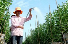 En Laos inauguran centro de servicios técnicos agrícolas con ayuda de Vietnam
