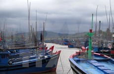 Provincia vietnamita en necesidad de medios para faenas en el mar  