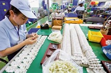 Promueven oportunidades de inversiones de empresas japonesas en Vietnam