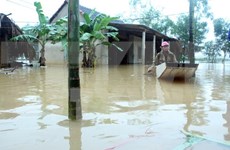 Premier vietnamita pide apoyo urgente a pobladores afectados por inundaciones