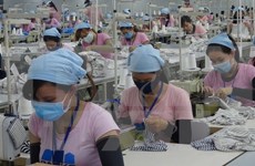 Grandes expectativas de empresas de Vietnam para 2017