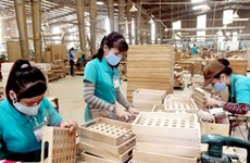 Vietnam exporta más de siete mil millones de dólares en madera en 2016