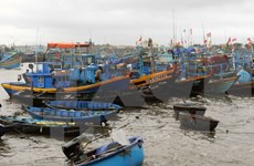 Pescadores decididos a aferrarse al mar