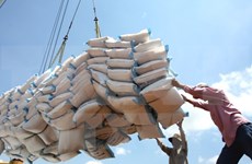 Laos incrementa exportaciones de arroz a China