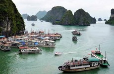 Sube número de visitantes extranjeros a provincia vietnamita de Quang Ninh 