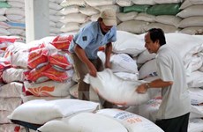 Exportaciones de arroz jazmín de Tailandia crecen 