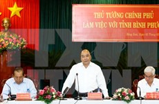 Premier vietnamita urge a desarrollar agricultura inteligente en provincia sureña