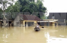 Gobierno vietnamita ofrece ayuda por inundaciones a provincia de Binh Dinh