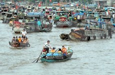 Can Tho impulsa la preservación del mercado flotante de Cai Rang