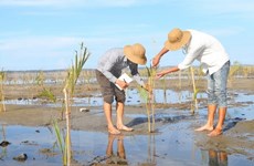 Resalta la participación vietnamita en cooperación regional en protección ambiental