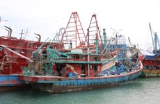 Vietnam e Indonesia reforzarán cooperación marítima y pesquera