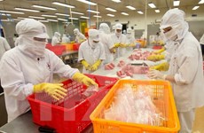 Provincia de An Giang prevé lograr 820 millones de dólares en exportaciones